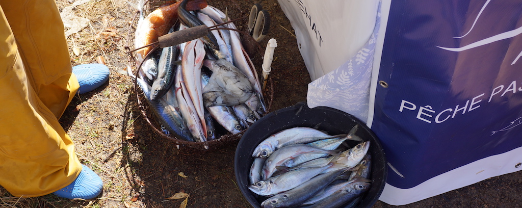 Produits de la pêche