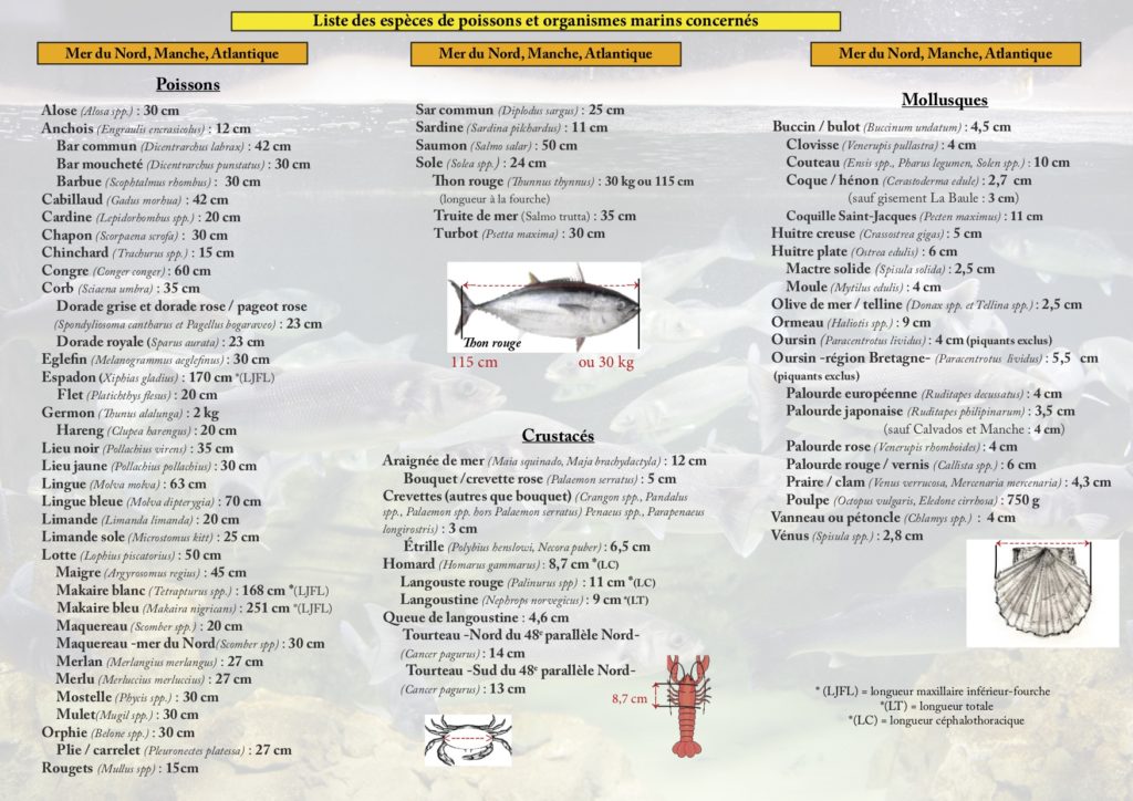 Liste des mesures des poissons