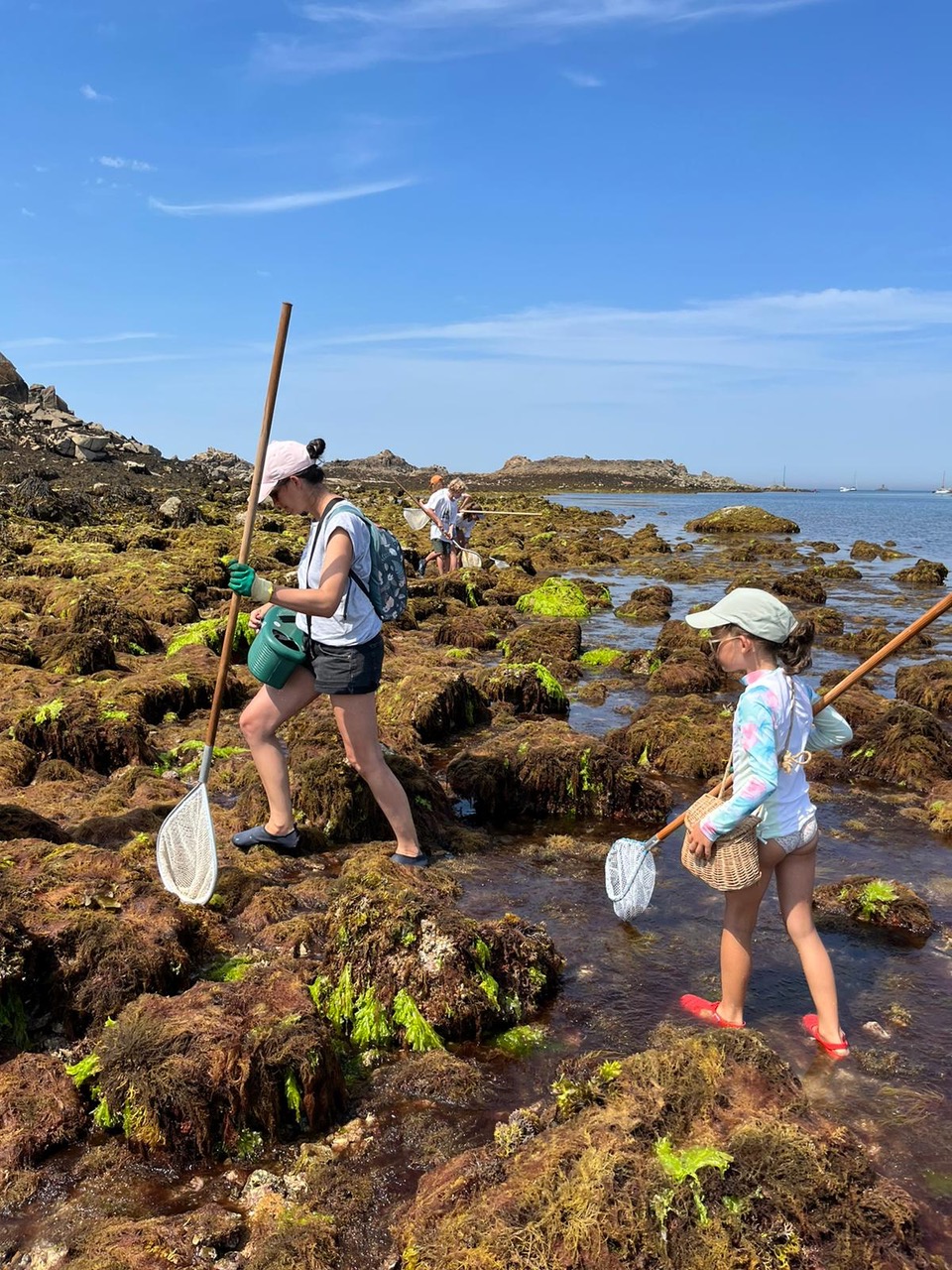 Sortie « découverte » de pêche à Pied une belle réussite A.P.P.I.B.